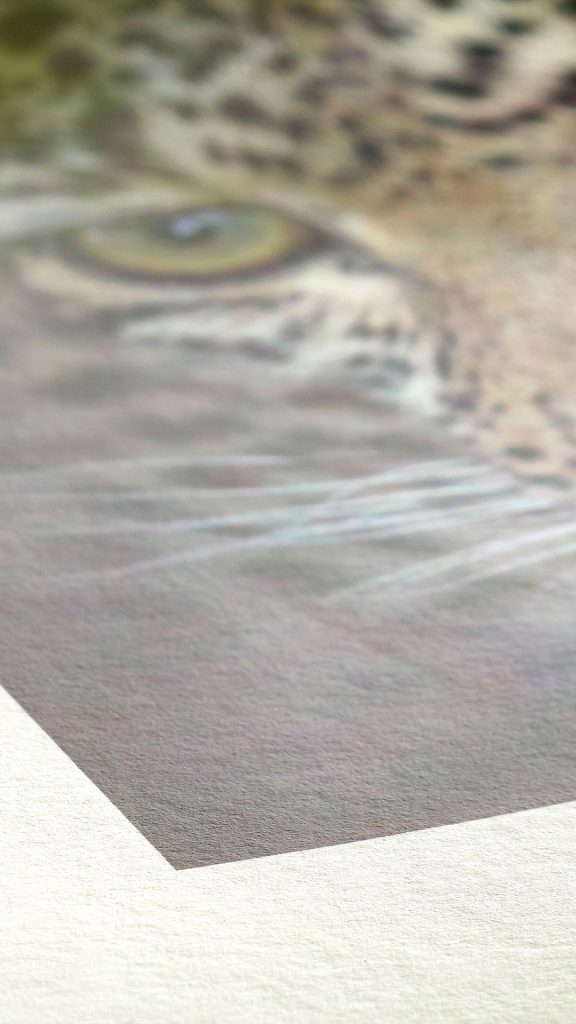 impressions-Photo-Bamboo-drda-art-1080x1920